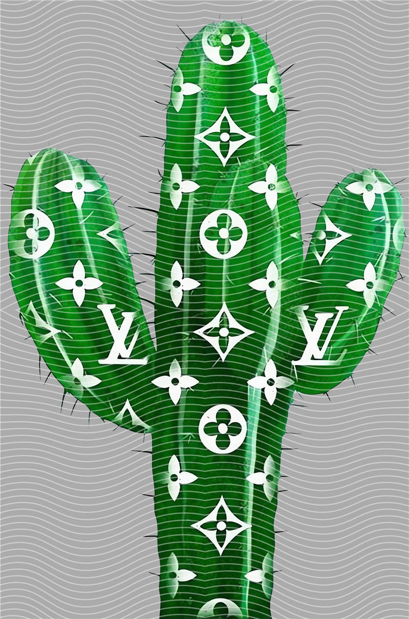 LV-LV 80